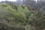 IMG_6959.jpg