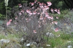 IMG_6963.jpg