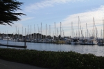 IMG_7016.jpg