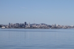 IMG_7024.jpg
