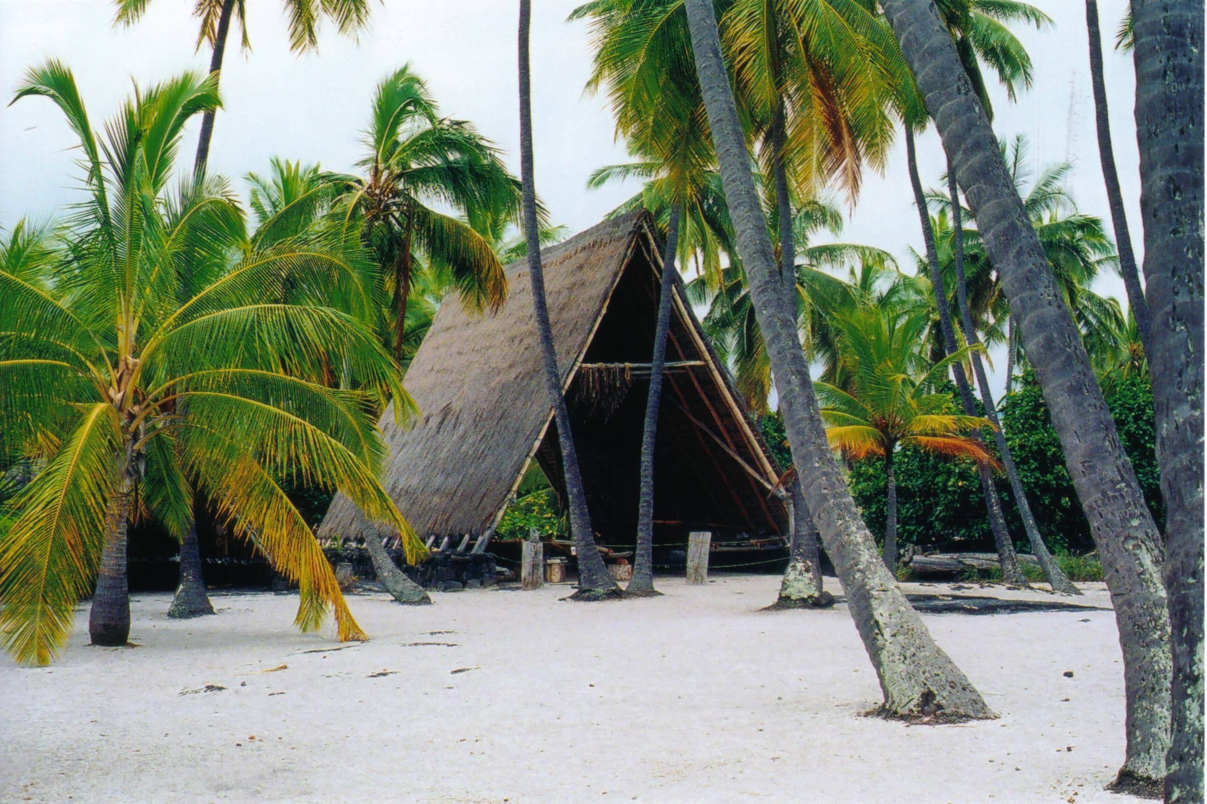 Hut 1