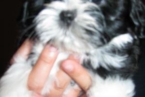 Meeting Mochi ~ August 2009