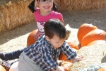 img_3167-copy