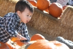 img_3169-copy