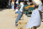 img_3184-copy