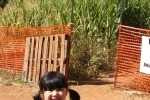 img_3193-copy