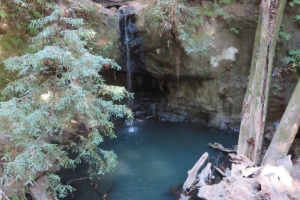Big Basin 2 ~ November 2018