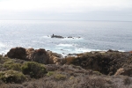 IMG_4779 copy