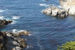 IMG_4785 copy