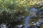 IMG_4808 copy