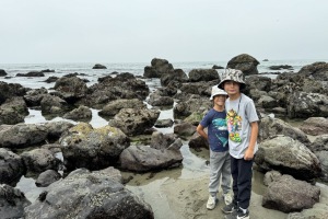 Bodega Bay ~ July 2024