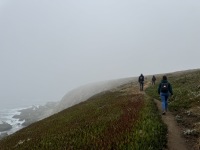 IMG_4182