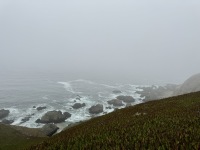 IMG_4183