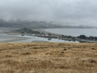 IMG_4185
