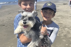 Bodega Bay ~ August 2025