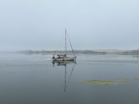 IMG_5110