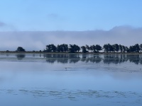 IMG_5115