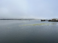 IMG_5176