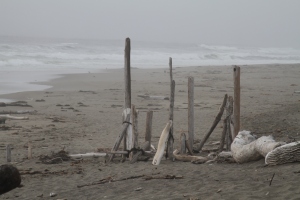 Camping at Bodega Dunes ~ July 2011