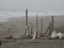 Camping at Bodega Dunes ~ July 2011