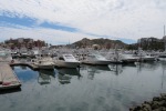 IMG_4725