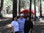 Camping at Stumpy Meadows ~ June 2010
