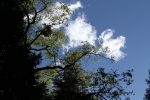 copy-img_4857