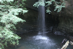 Camping at Big Basin ~ June 2011