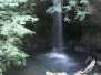 Camping at Big Basin ~ June 2011