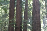 copy-img_0936