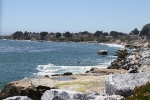 copy-img_0943