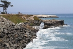copy-img_0944