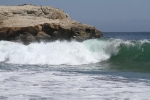 copy-img_0959