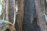 copy-img_1004