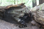 copy-img_1005