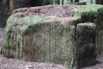 copy-img_1091