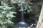 copy-img_1100