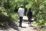 copy-img_5028