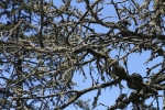 copy-img_5032