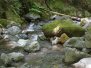 Camping at Sugarloaf ~ May 2010