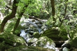 copy-img_4583