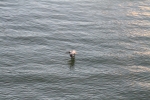 img_0906-copy