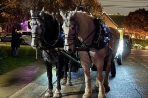 Carriage Ride