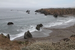 IMG_7323.jpg