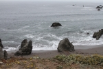 IMG_7325.jpg