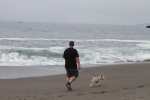 IMG_7331.jpg