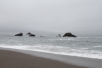 IMG_7335.jpg