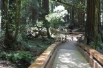 copy-img_6756
