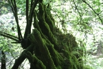 copy-img_6763