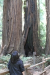 copy-img_6776